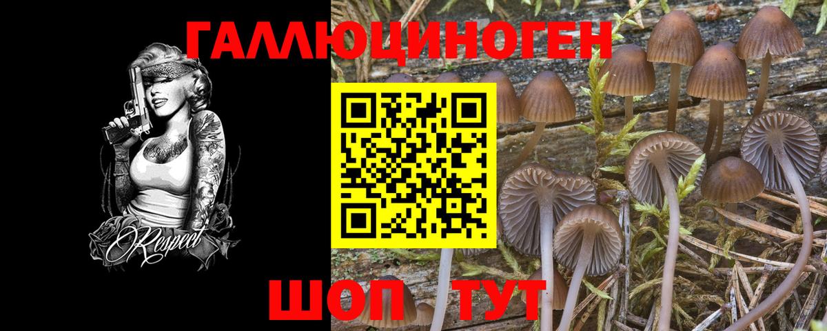 Псилоцибиновые грибы мицелий  Вход с VPN  Воскресенск 